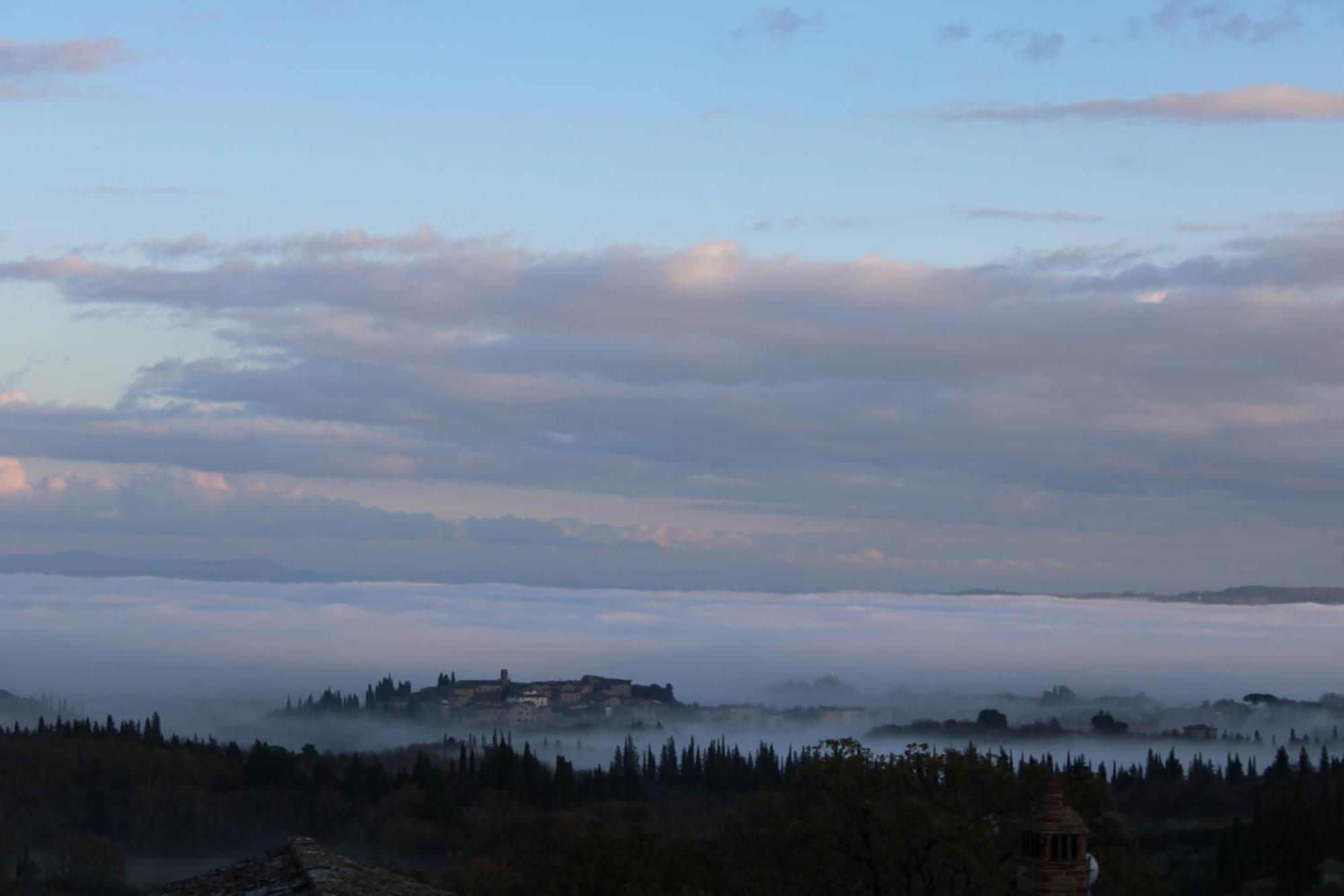 Agriturismo Il Caggio 索维奇勒 外观 照片