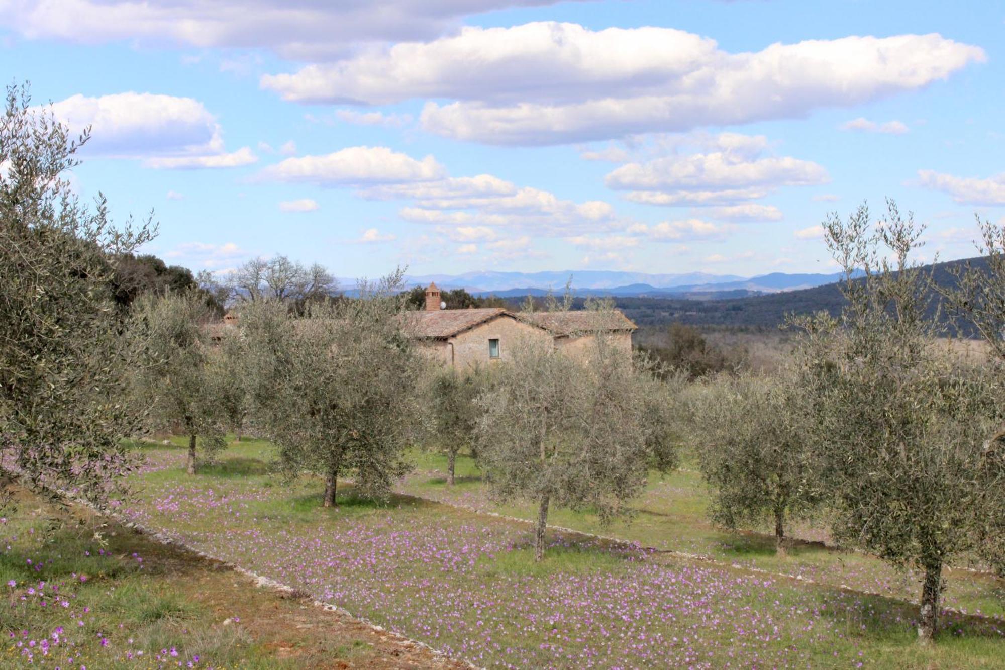 Agriturismo Il Caggio 索维奇勒 外观 照片