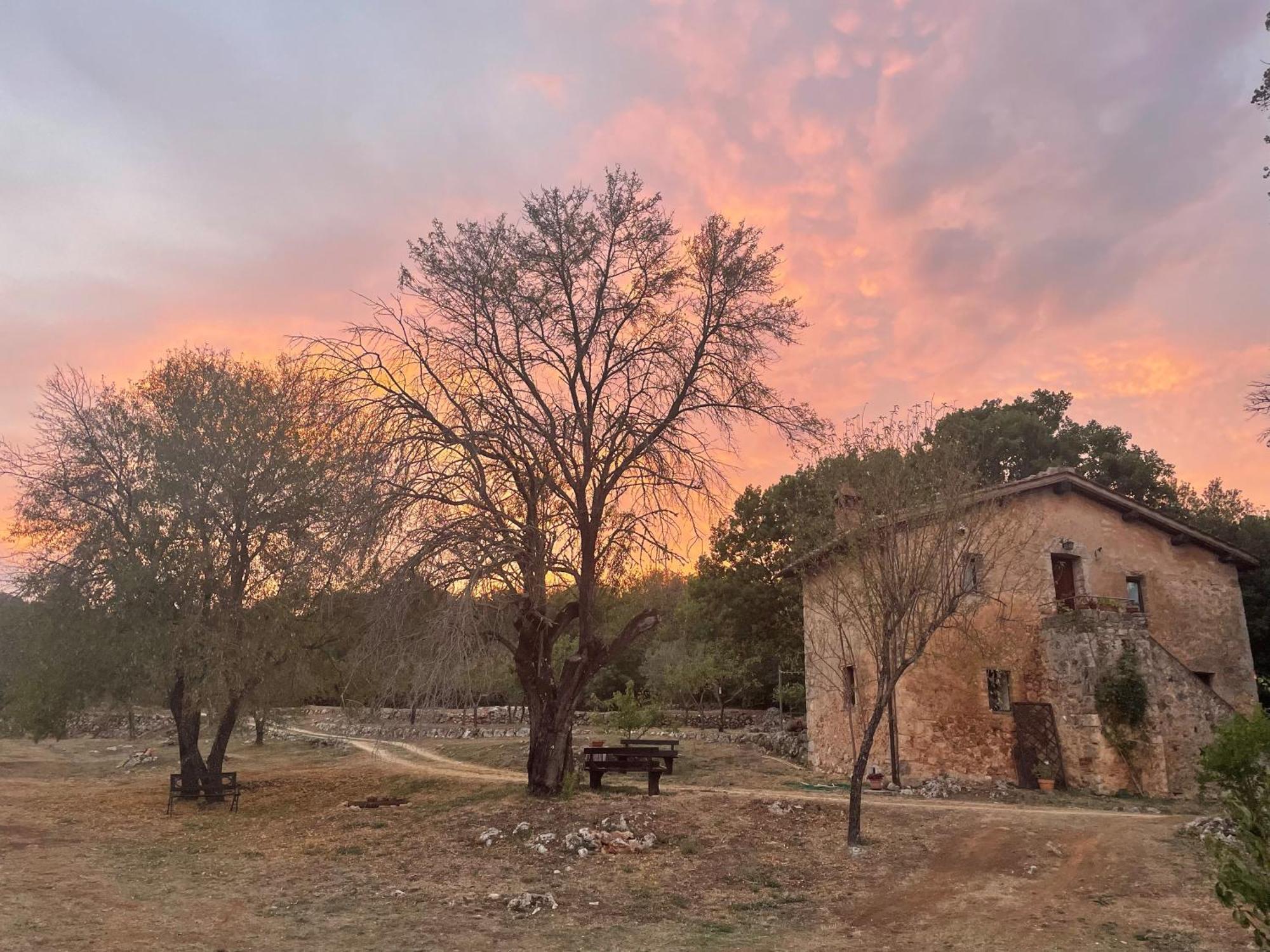 Agriturismo Il Caggio 索维奇勒 外观 照片