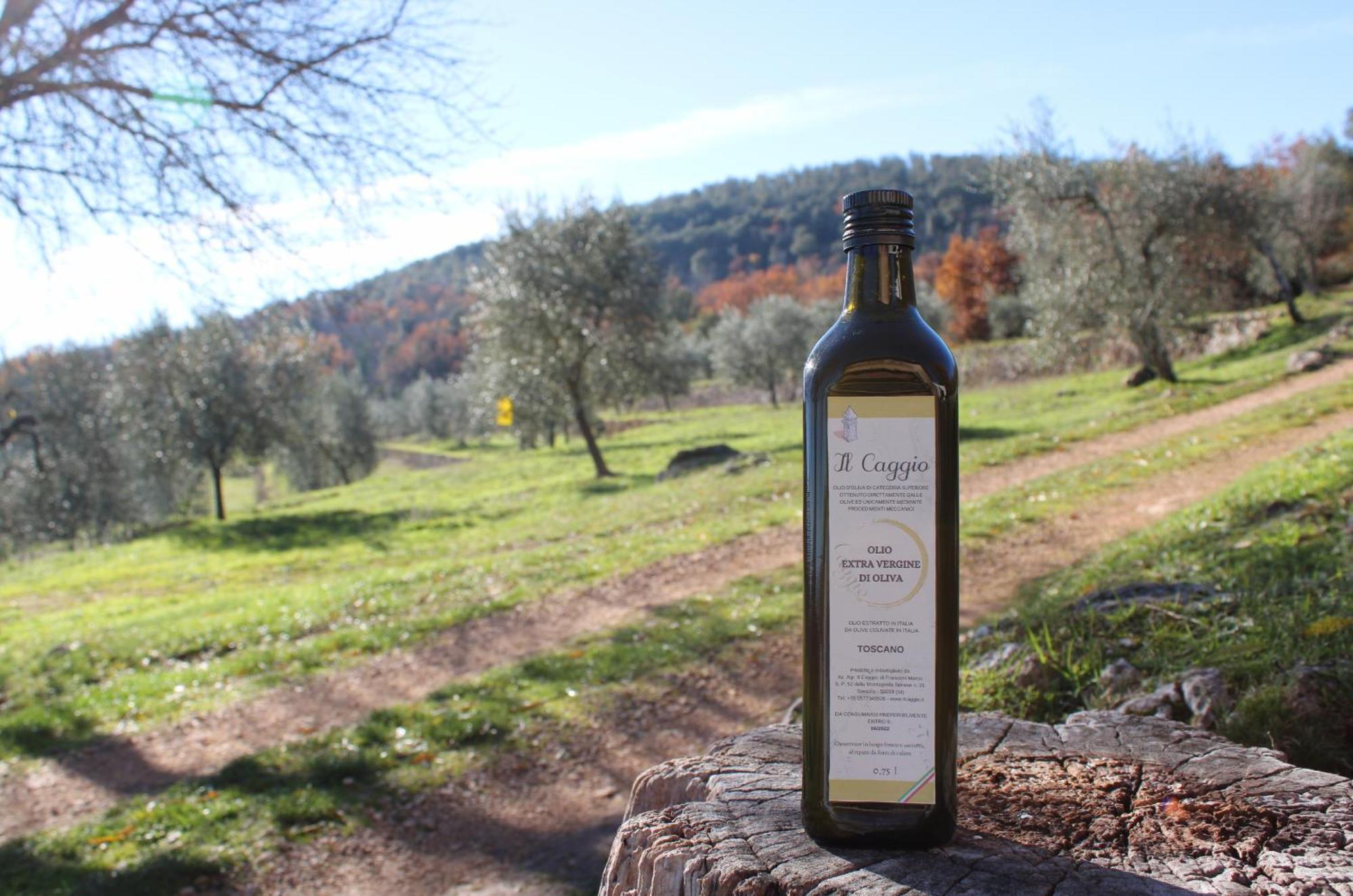 Agriturismo Il Caggio 索维奇勒 外观 照片