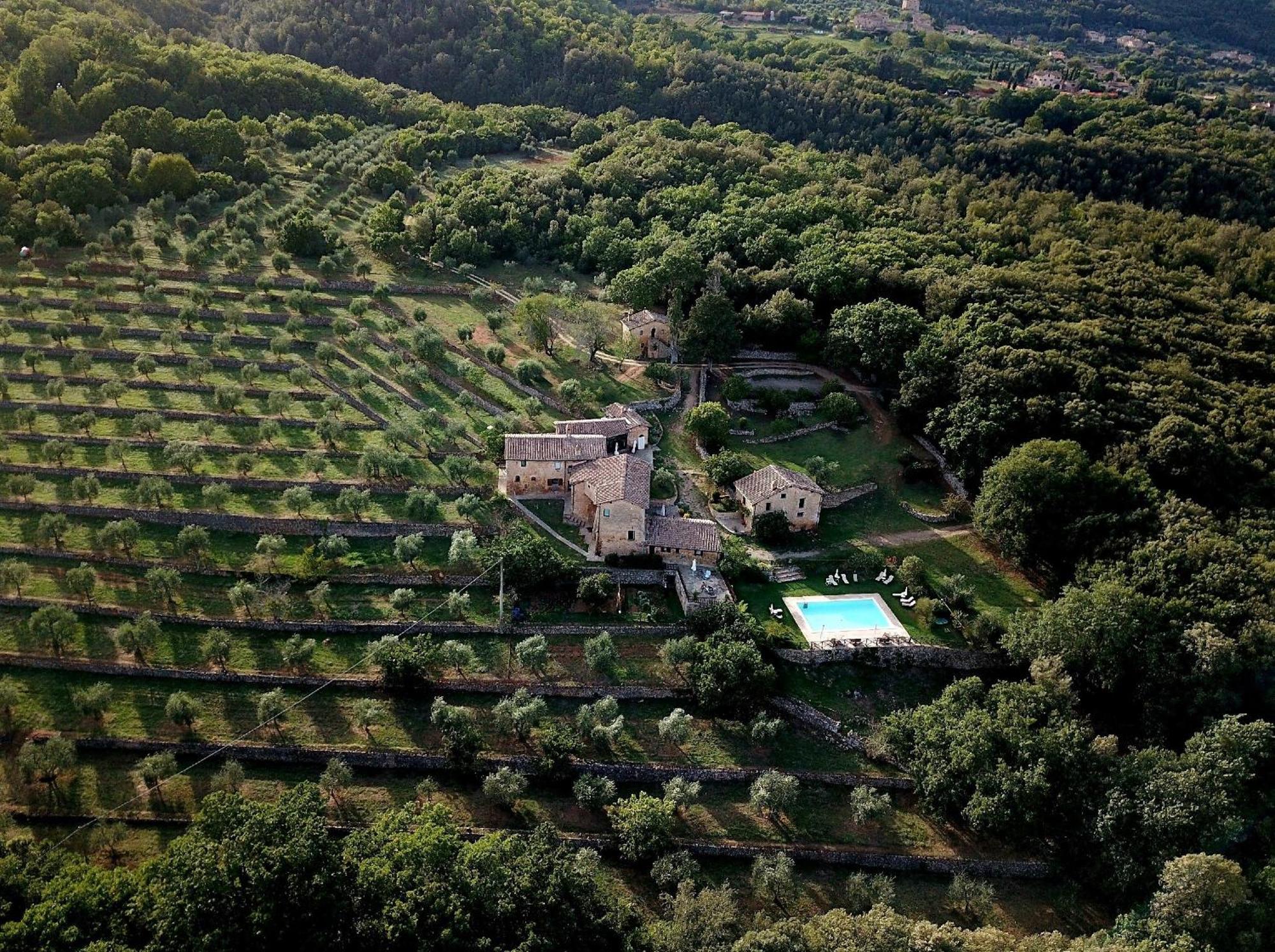 Agriturismo Il Caggio 索维奇勒 外观 照片