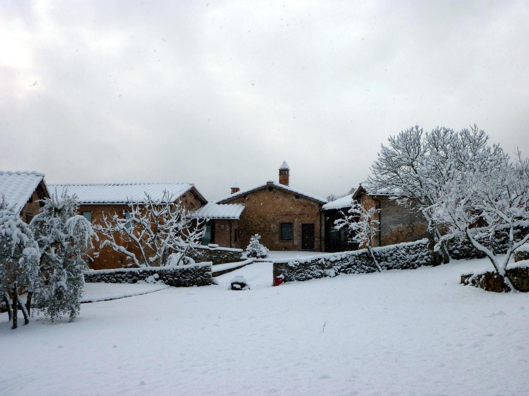 Agriturismo Il Caggio 索维奇勒 外观 照片